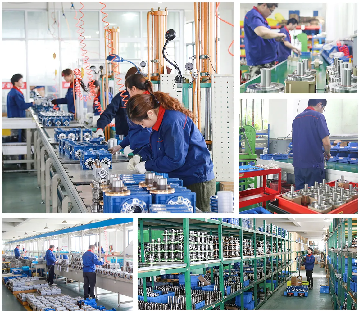 worm gearbox factory