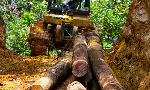 Winch Drive Planetary Gearbox Reducer For Forestry & Logging Winch