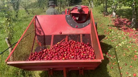 Wheel Drive Planetary Gearbox Ruducer for Apple Fruit Harvester Machine