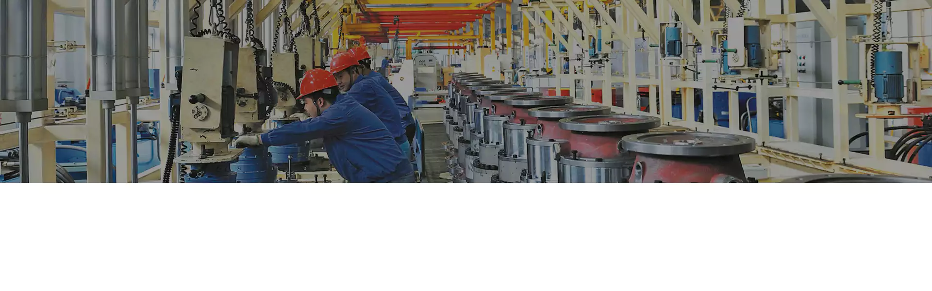 Planetary Gearbox Reducer Replacement of Brevini Riduttori EC2250