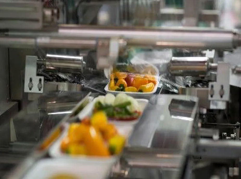 08B-GC Grip Chains 08B-GC Film Gripper Chains 08B-GC Film Clamping Chains