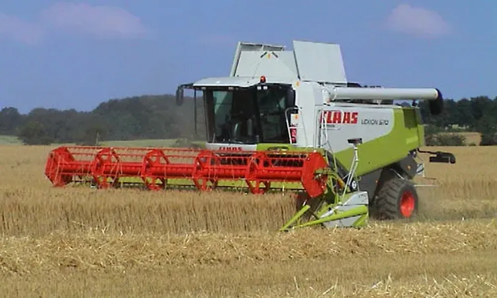 604 Ley Bushed Chain