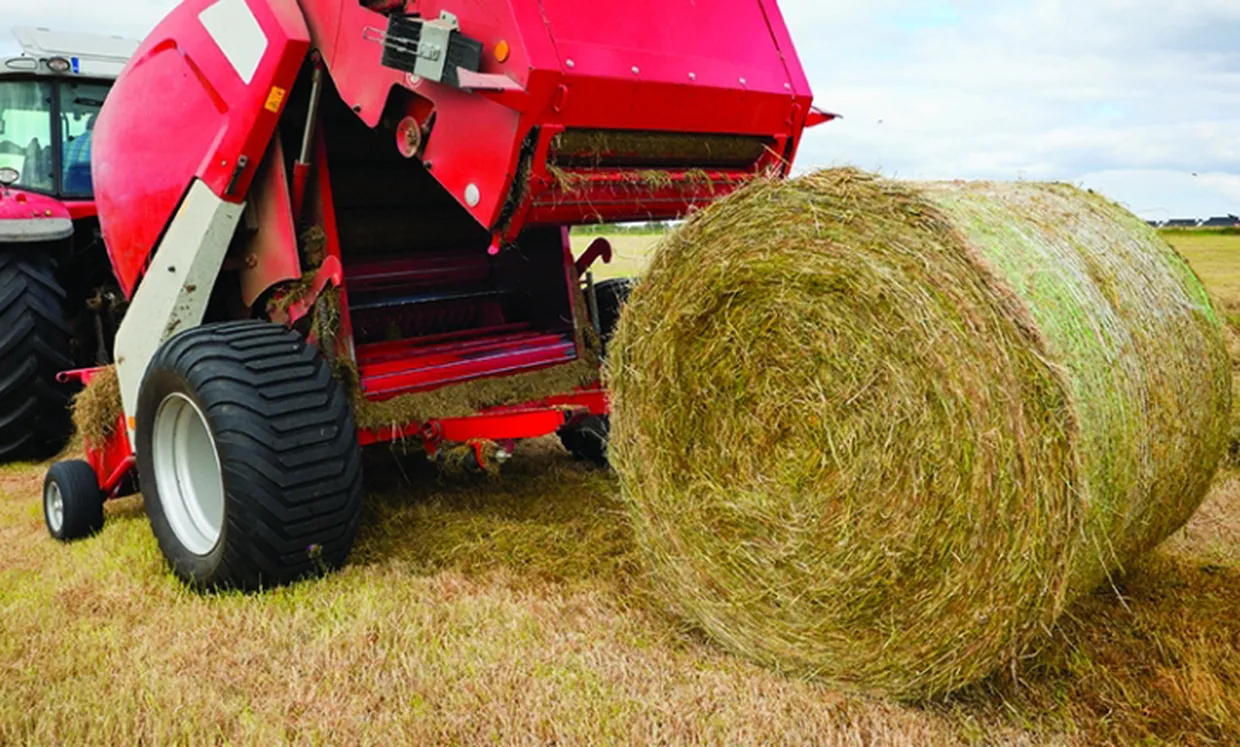 662 Steel Pintle Chain