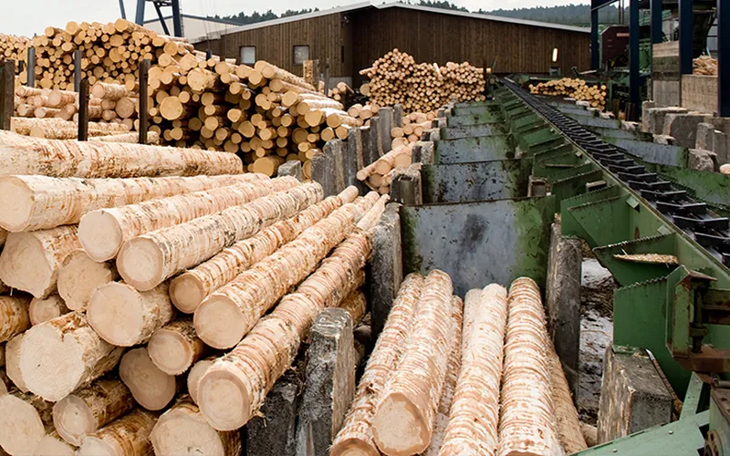 81X Chain 81X Conveyor Chain 81X Lumber Conveyor Chain