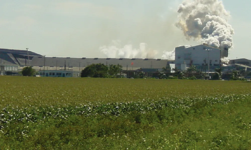 902 Sugar Mill Chains