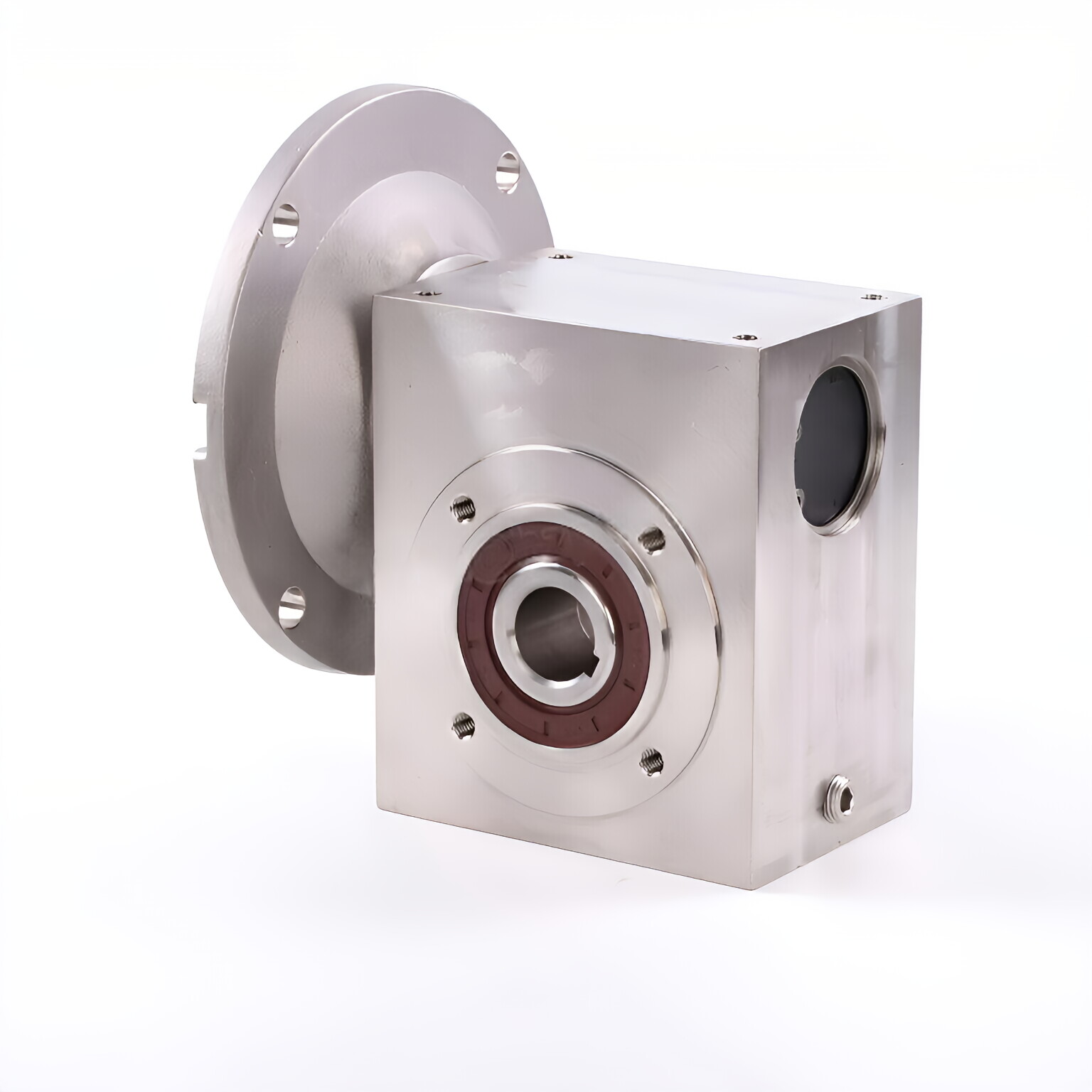 Stainless Steel Worm Gear Reducer