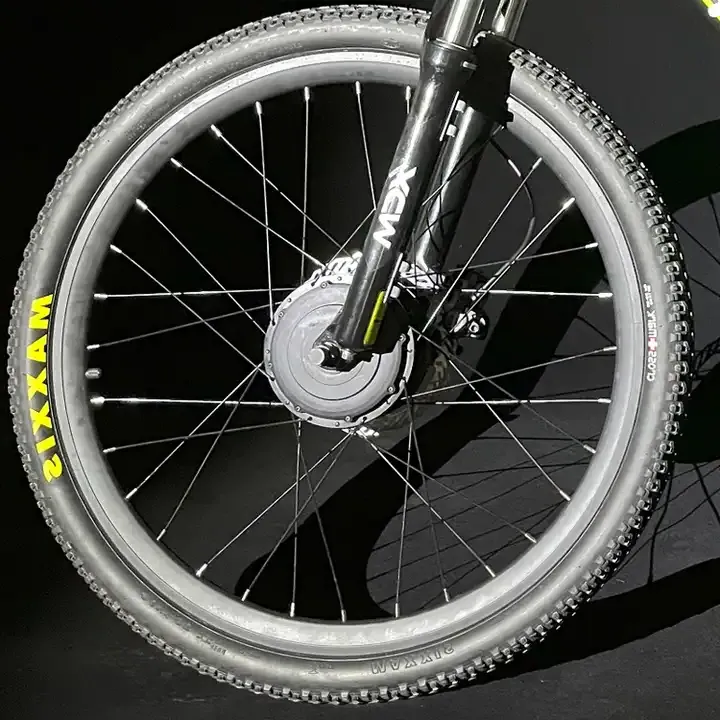 Raydafon P160 250W 400W Electric Bike Intelligent Engine Motor Set Up For Bicycle Wireless Front Hub Motor