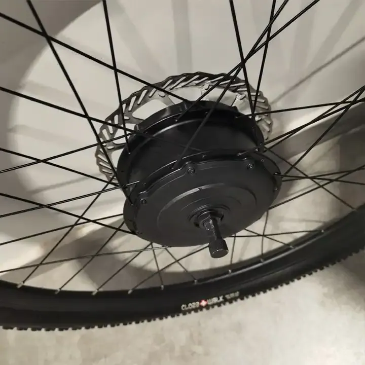 Raydafon P160 250W 400W Electric Bike Intelligent Engine Motor Set Up For Bicycle Wireless Front Hub Motor