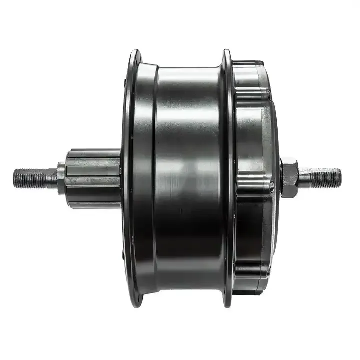 Raydafon P160 250W 400W Electric Bike Intelligent Engine Motor Set Up For Bicycle Wireless Front Hub Motor