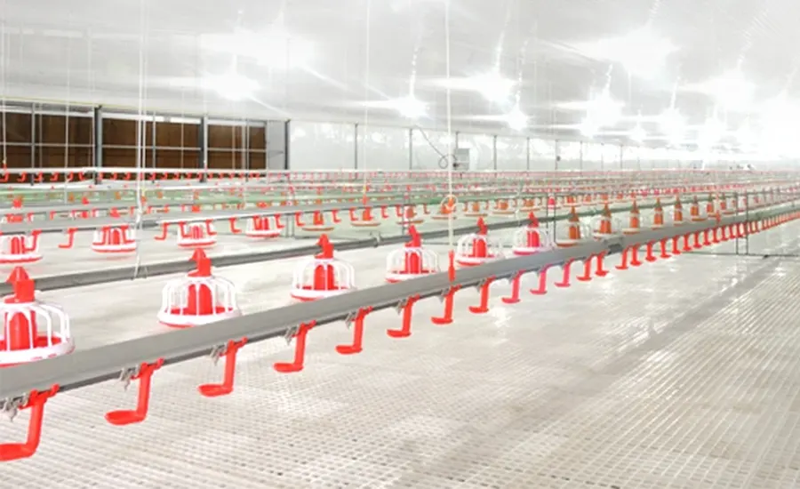 Poultry Feeding System Gearbox