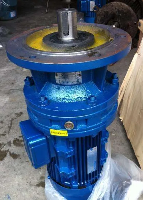 Cycloidal Gearbox BLD Vertical Cycloid Reducer (Cycloidal Gear Reducer) for Mixing Equipment