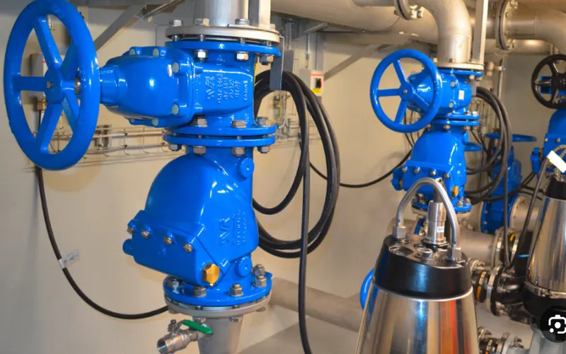 C Series Check Valves