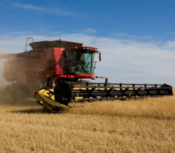 CA550 CA555 CA557 CA620 Roller Chain CA Type Steel Agricultural Chains