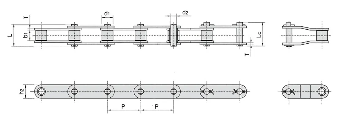 CA557SS Stainless Steel Agricultural Chain