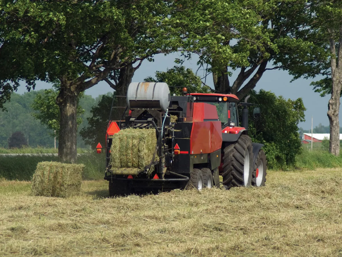 CA550 Chain With F6/F9 Attachments