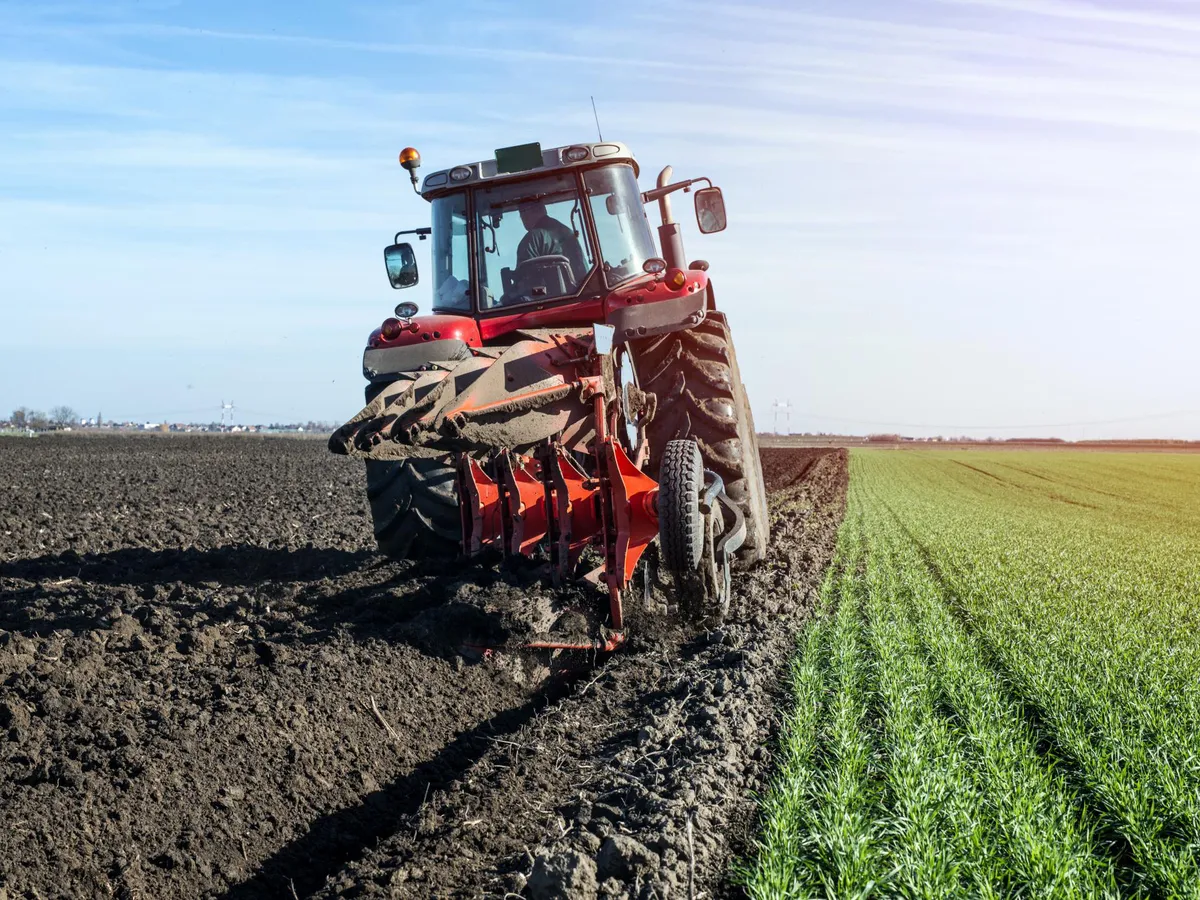 CA550 Chain With F6/F9 Attachments