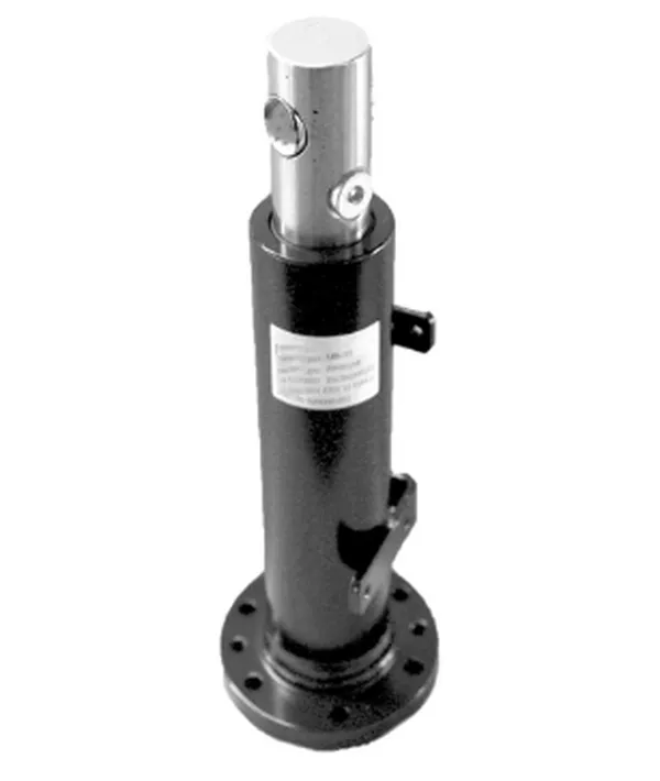 Lift Hydraulic Cylinder for Cart