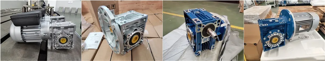 RDF-NMRV-VS Dual Input Worm Gearbox with IEC Motor Flange