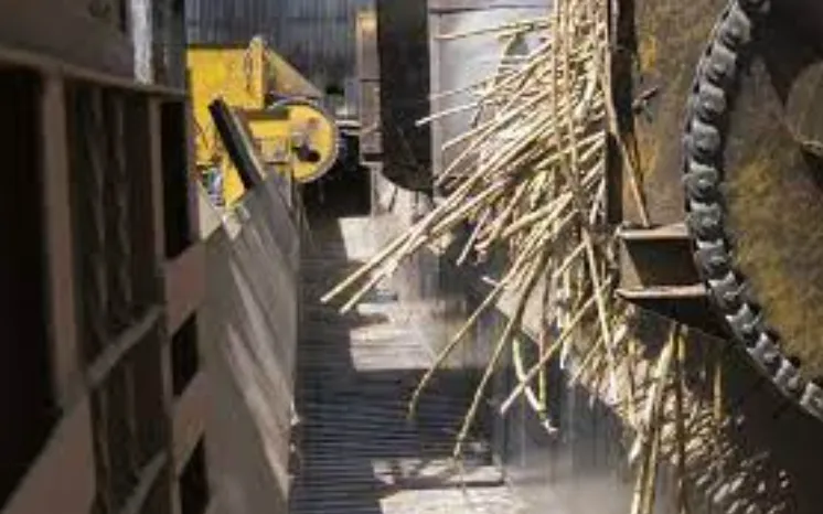 907 Sugar Mill Chains