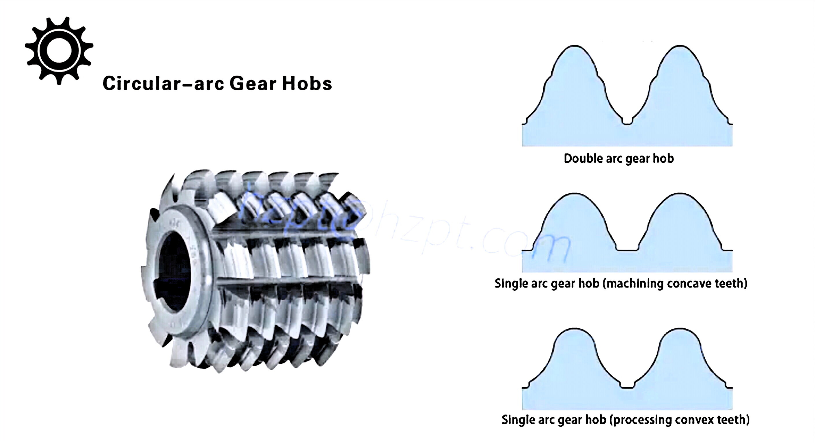 Circular-arc Gear Hobs