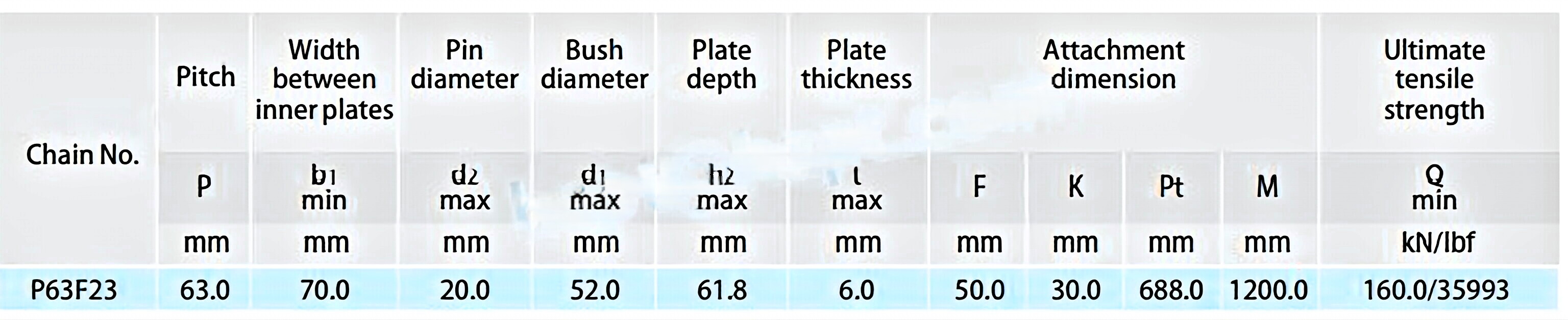 Conveyor Chains for Paper Mill 63PF2/P63F16/P63F25/P63F26