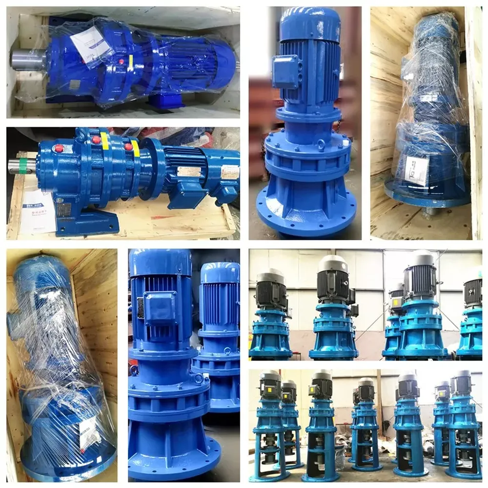 Cycloidal Gearbox BLD Vertical Cycloid Reducer (Cycloidal Gear Reducer) for Mixing Equipment