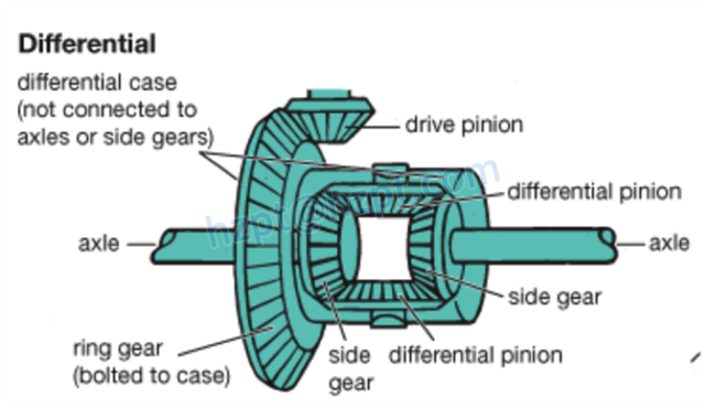Differential Gears