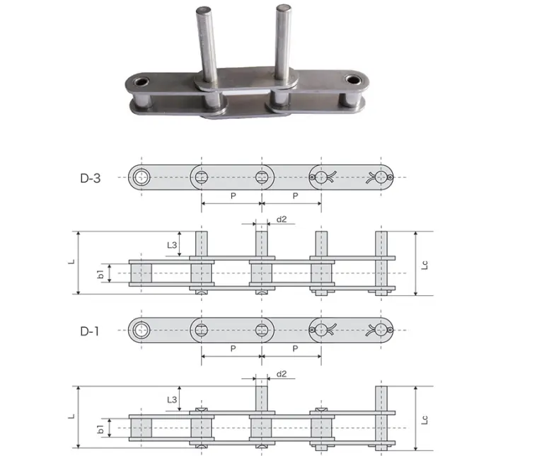 C208ASS/C2040SS Stainless Steel Double Pitch Conveyor Chain with D1 D3 Extended Pins