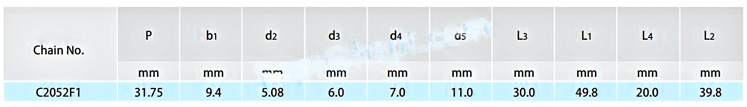 Double Pitch Conveyor Chains with Extended Pins C2052F1 C2052F11 C2050A6 C2062HF63A2F1