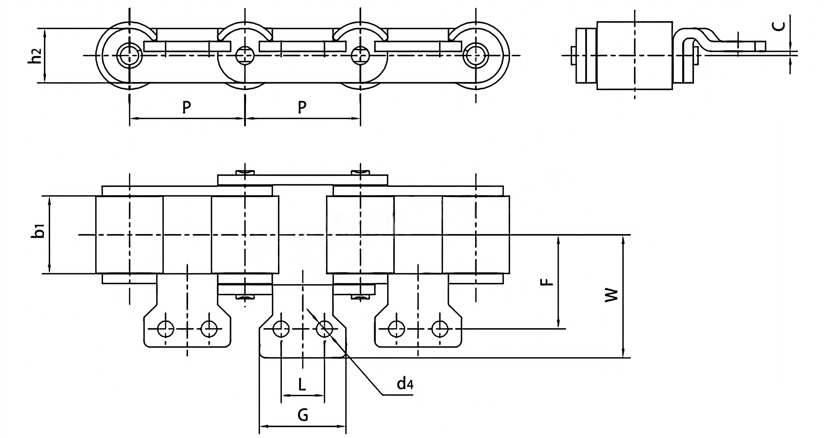 Double Pitch Conveyor Chains with Extended Pins C2052F1 C2052F11 C2050A6 C2062HF63A2F1