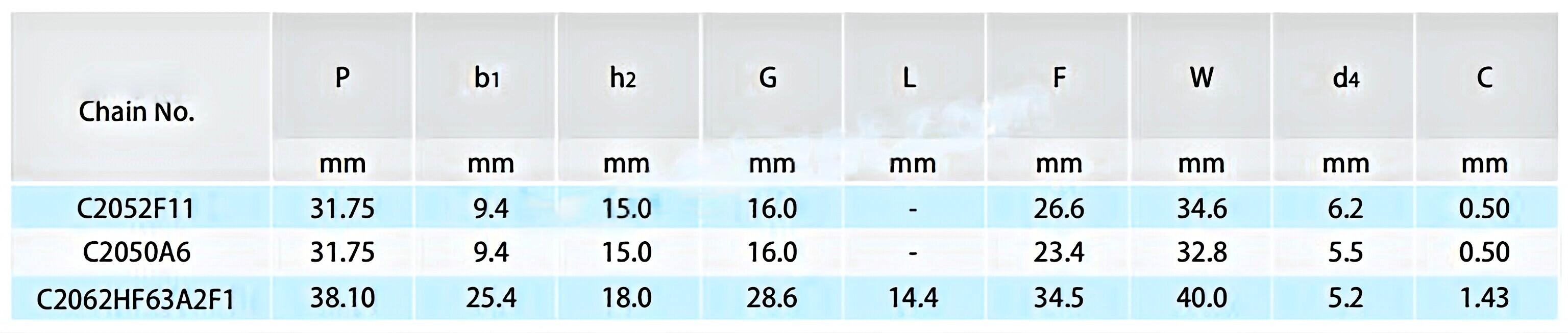 Double Pitch Conveyor Chains with Extended Pins C2052F1 C2052F11 C2050A6 C2062HF63A2F1