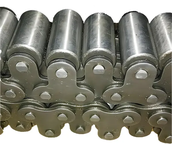 50-2-TRSS Double Strand Stainless Steel Conveyor Chains with Top Rollers