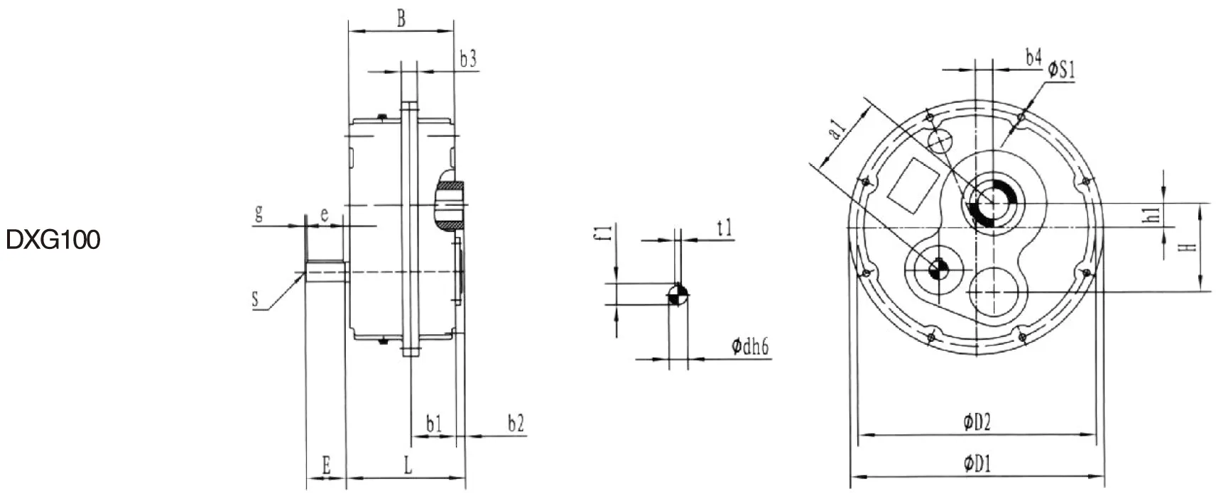 DXG100/DXG100 D Series Shaft Mounted Gearbox for Quarry and Mining Industry