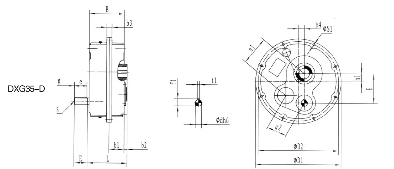 DXG35/DXG35 D Series Shaft Mounted Gearbox for Material Handling Industry