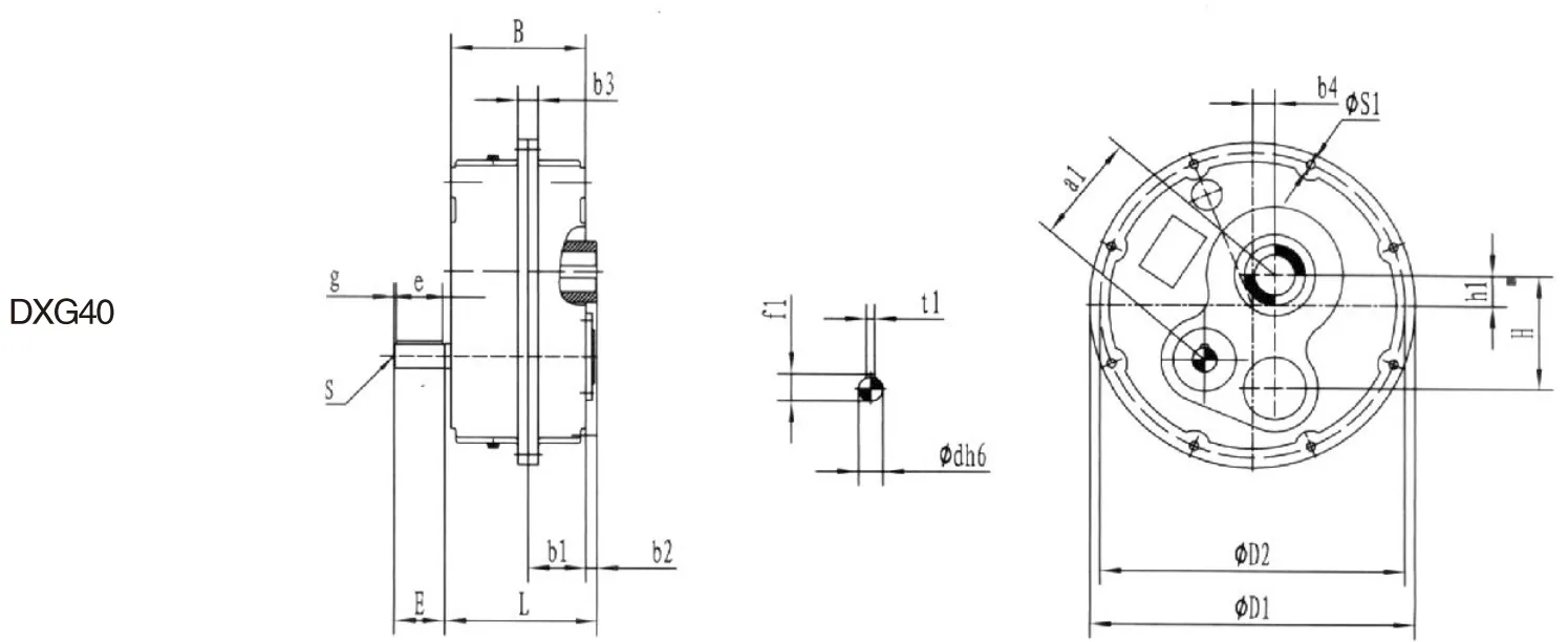 DXG40/DXG40 D Series Shaft Mounted Gearbox for Mining Equipment