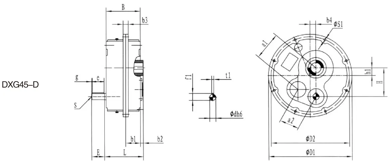 DXG45/DXG45 D Series Shaft Mounted Gearbox for Quarrying and Mining Industry