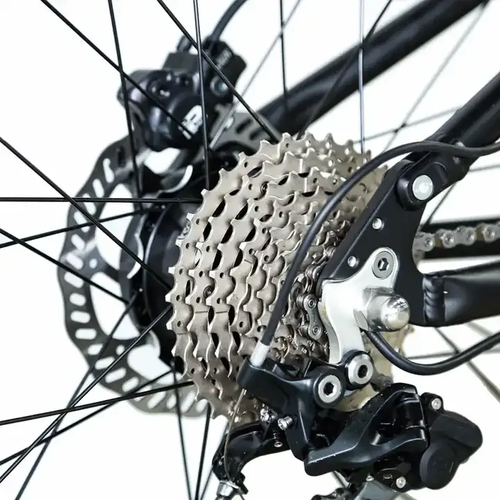 Raydafon 250W Bicycle Hub Dynamo Electric Bicycle Hub Motor Conversion Kit for Bicycle