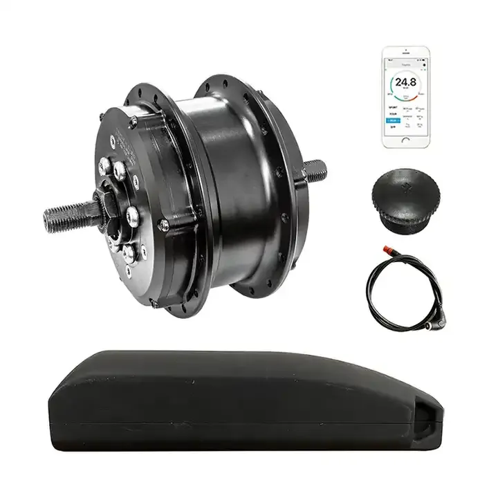 Raydafon Customized 24 inch 24V33V36V48V 10.5ah Electric Bicycle Conversion Kit