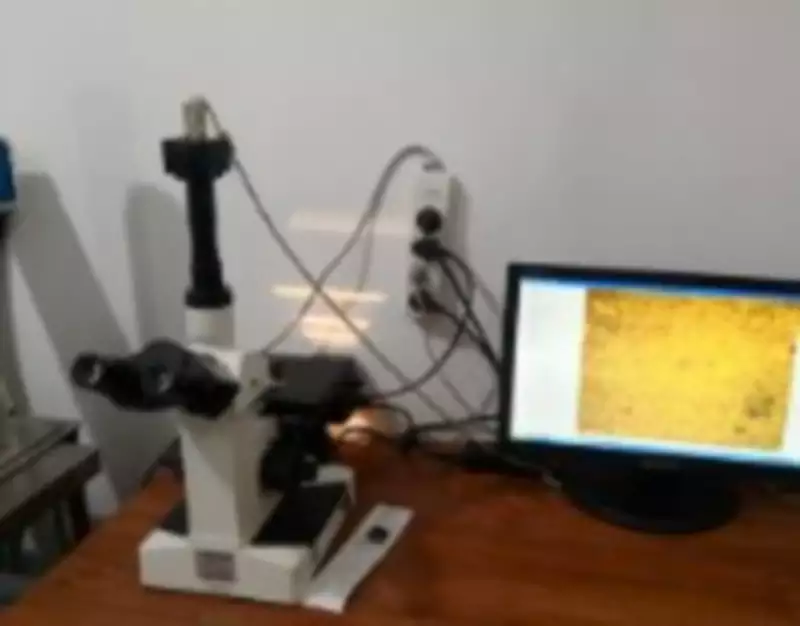 CA642S103 Special Agricultural Chain With Attachments