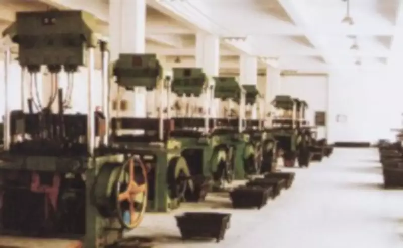 LV40K1 Special Agricultural Chains With K1 Attachments