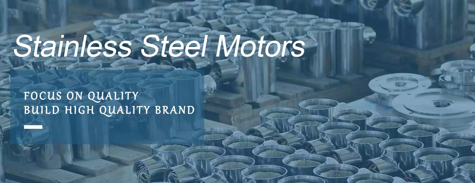 B14 Face Mounted Stainless Steel Motor TEFC