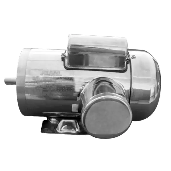 TENV Stainless Steel Washdown NEMA Motor With Single Capacitor