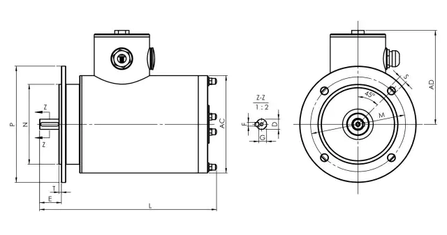 IEC B5 Flange Mounted Stainless Steel Motor -TENV