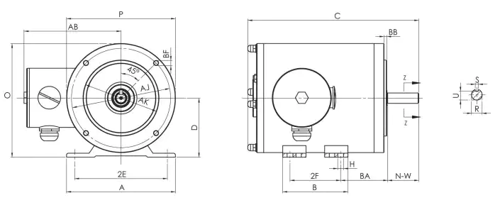 IP67 Waterproof NEMA Stainless Steel Motor TENV