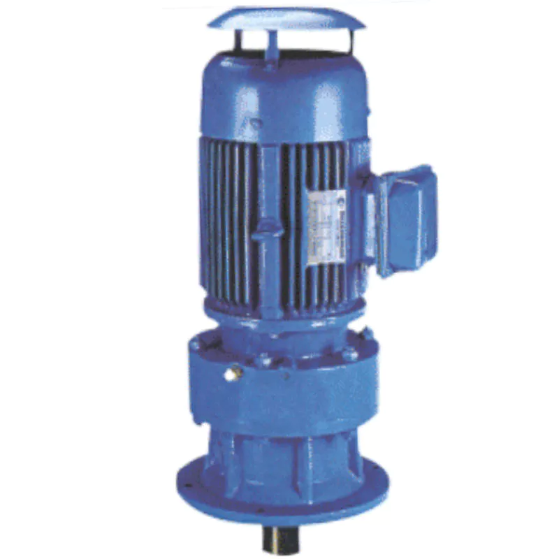 8000 Series XLDY Cycloidal Pinwheel Reducer Gearbox Vertical with Motor