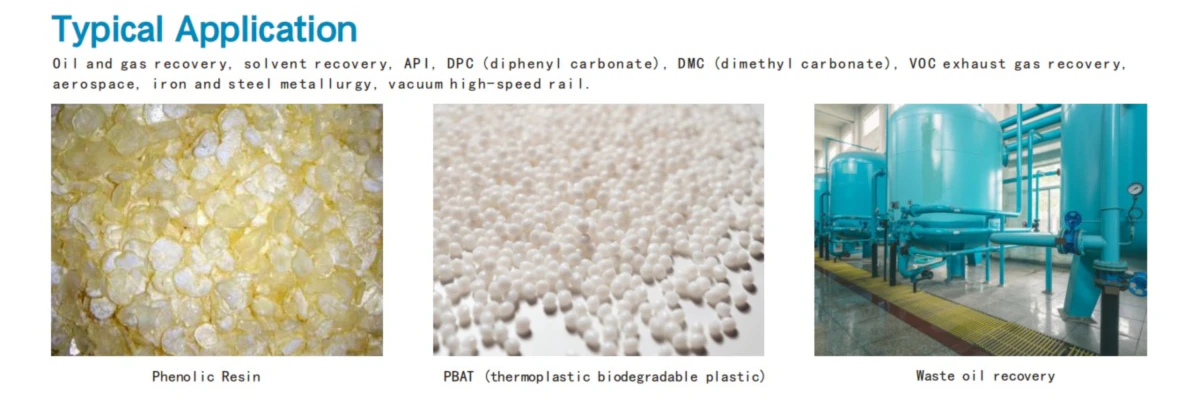 VSP 1000 Series Dry Screw Vacuum Pump