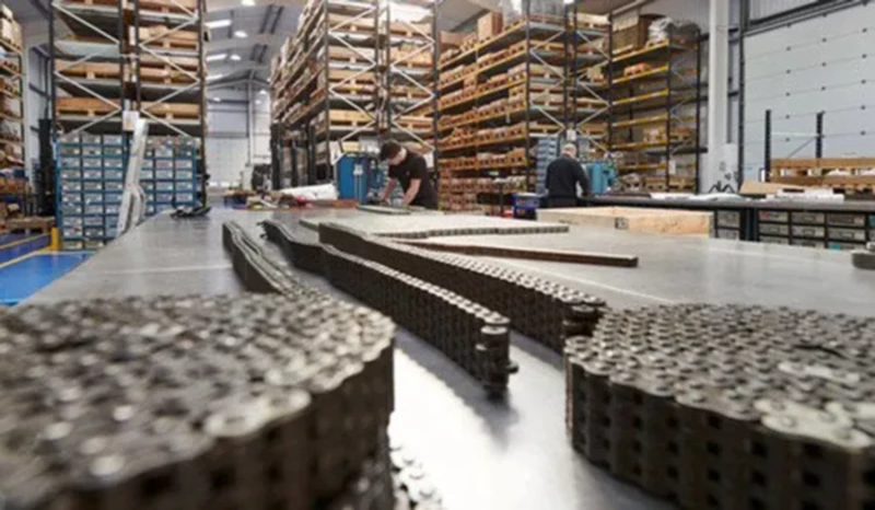 BL1234 Leaf Chain for forklift