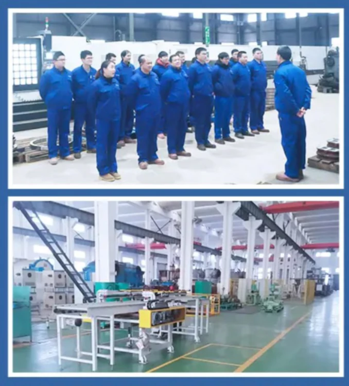 VSP 1000 Series Dry Screw Vacuum Pump