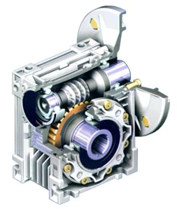Worm Gearbox-Replacement of Chenta ASM Worm Gear Reducer (Input at Bottom)