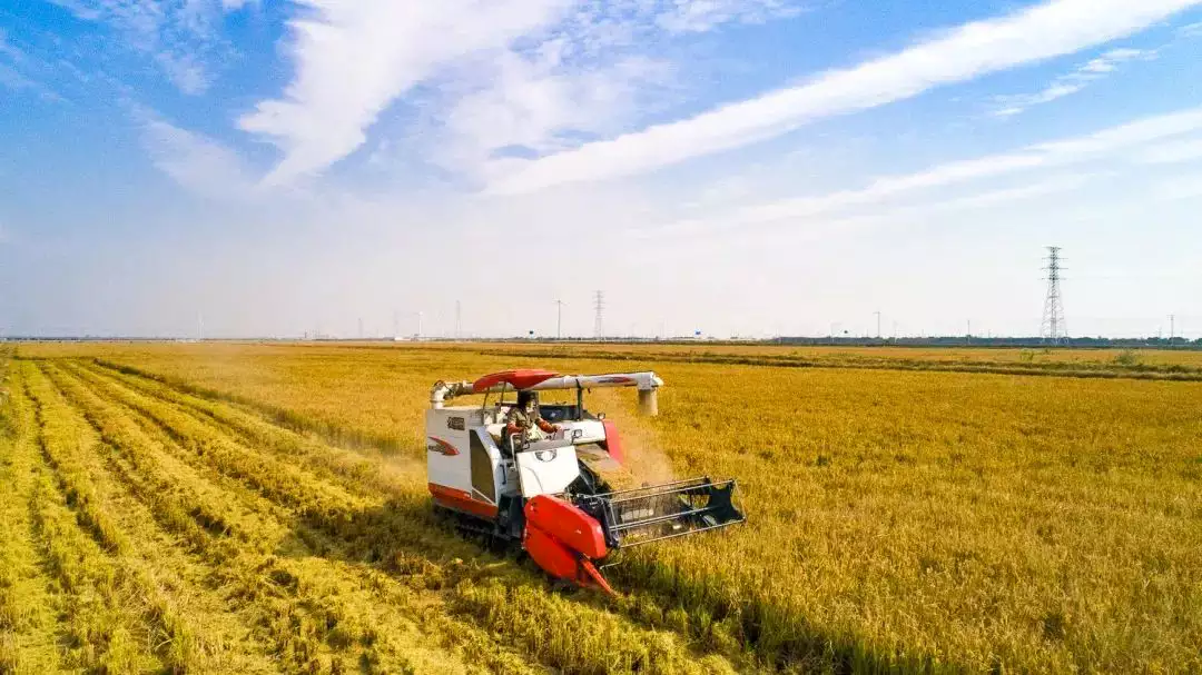 CA550F1 Agricultural Chain WIth F1 Attachments CA550K19F3 CA550VK19F1 CA557AK4 CA550F20K19 CA557AK4F1